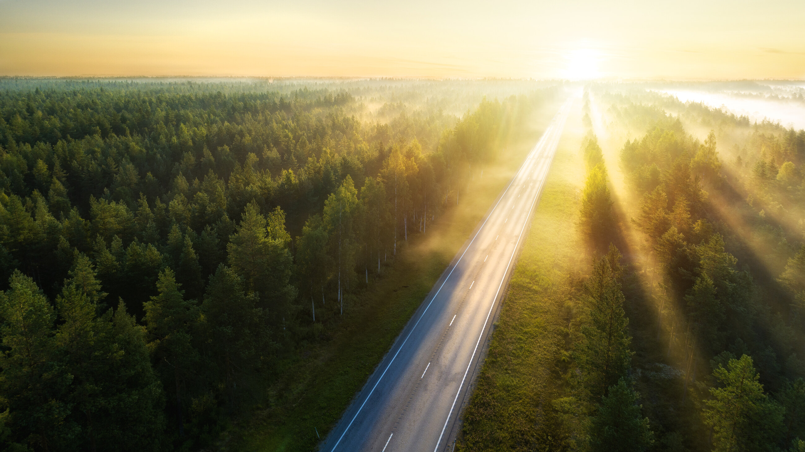 Route traversant une forêt au lever du soleil, vue aérienne